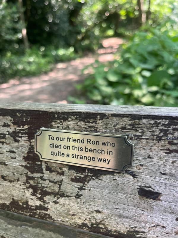 hold up memes, shocking images, unexpected humor, bizarre visuals, funny reactions, odd responses, quirky impressions, humorous viewpoints, bizarre photos, strange snapshots, peculiar pictures, eerie visuals, confusing memes, puzzling humor, mind-bending jokes, surreal comedic bits