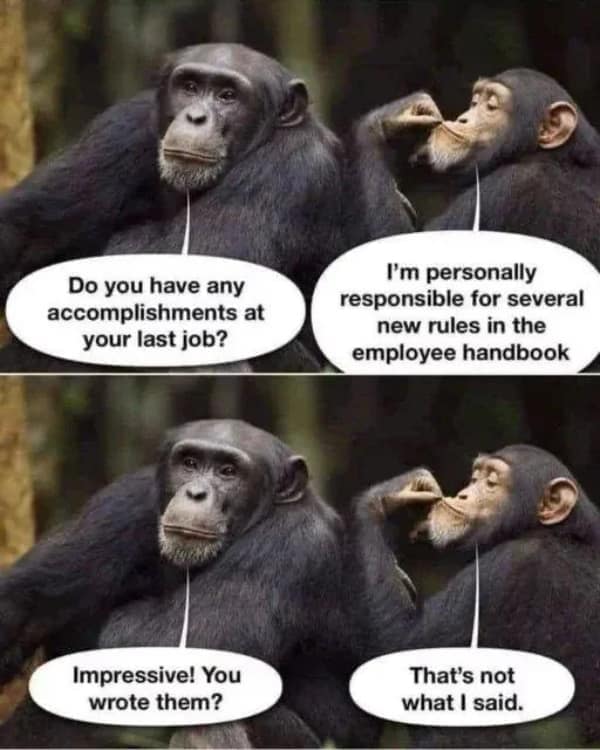 hold up memes, shocking images, unexpected humor, bizarre visuals, funny reactions, odd responses, quirky impressions, humorous viewpoints, bizarre photos, strange snapshots, peculiar pictures, eerie visuals, confusing memes, puzzling humor, mind-bending jokes, surreal comedic bits