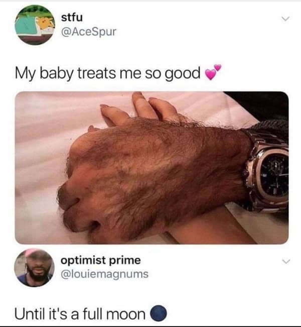 hold up memes, shocking images, unexpected humor, bizarre visuals, funny reactions, odd responses, quirky impressions, humorous viewpoints, bizarre photos, strange snapshots, peculiar pictures, eerie visuals, confusing memes, puzzling humor, mind-bending jokes, surreal comedic bits