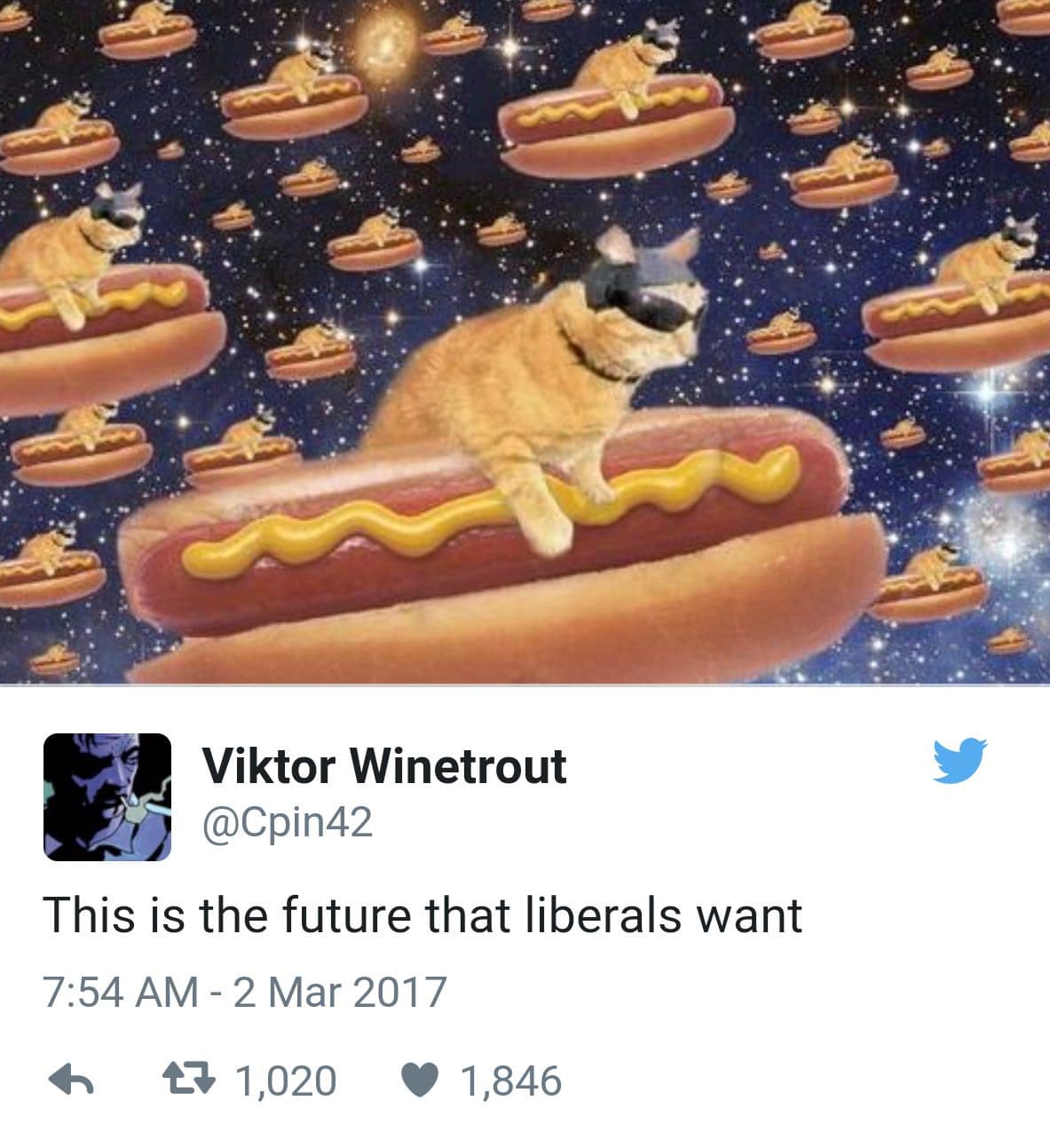 hot dog meme, hot dog memes, glizzy memes, frankfurter humor, sausage-themed comedy, wiener-themed jokes, food memes, edible jokes, culinary funnies, gastronomic giggles