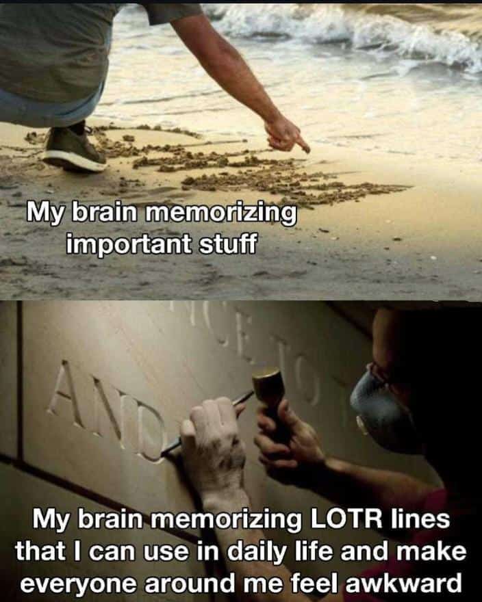 lotr memes, lord of the rings memes, middle earth memes, hobbit humor, lord of the rings jokes, middle earth jokes, tolkien jokes, hobbit jokes, gandalf memes, wizard humor, grey wizard jokes, ishtar wisecracks, hobbit memes, bilbo references, halfling humor, the shire jokes