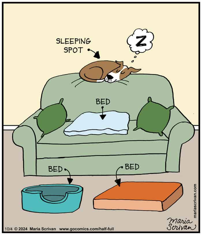 Maria Scrivan cartoons, single panel comics, witty panels, comedic art, satirical sketches, funny cartoons, humorous drawings, jovial strips, comedic doodles, single panel comics, minimal scene humor, one-frame jokes, punchy visuals, cartoon humor, witty animations, satirical cartoons, clever comedic style