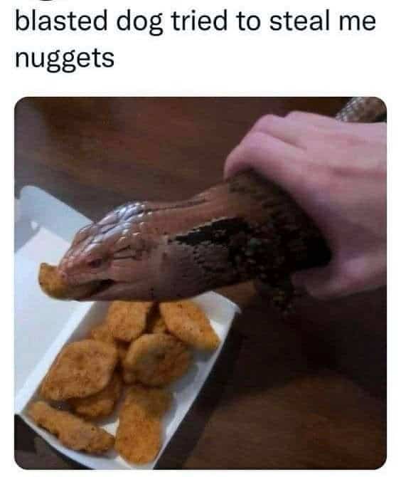 meme dump, funny memes, hilarious memes, viral memes, internet humor, procrastination humor, dank memes, dank meme dump, lazy memes