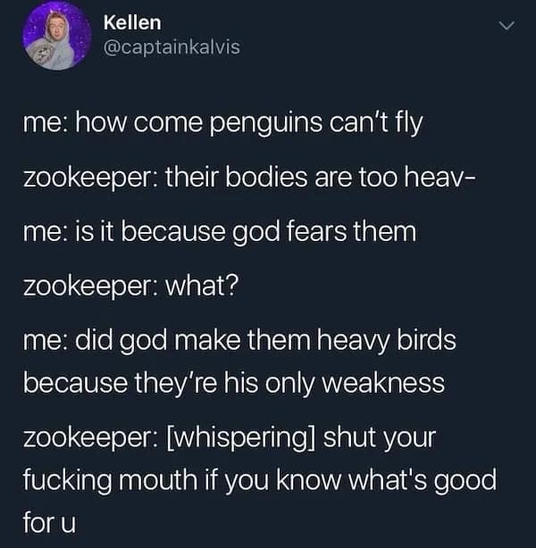 Kellen @captainkalvis me: how come penguins can't fly zookeeper: their bodies are too heav- me: is it because god fears them zookeeper: what? me: did god make them heavy birds because they're his only weakness zookeeper: [whispering] shut your fucking mouth if you know what's good for u