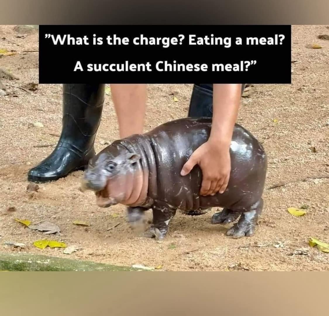 meme dump, funny memes, hilarious memes, meme collection, internet humor, viral memes, dank memes, dank meme dump, lunch break memes, office humor, relatable jokes, midday humor, workday laughs, everyday comedy