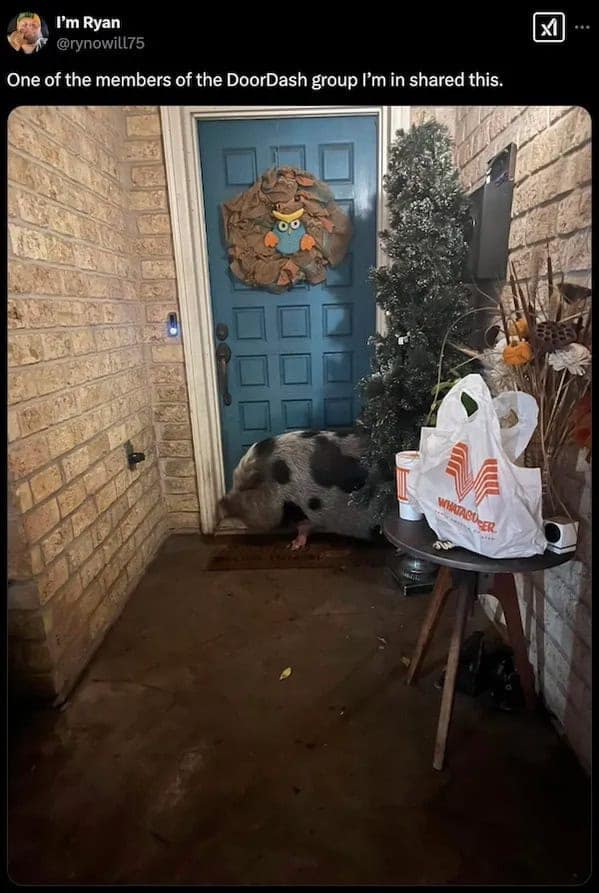 I'm Ryan @rynowill75 One of the members of the DoorDash group I'm in shared this. 区