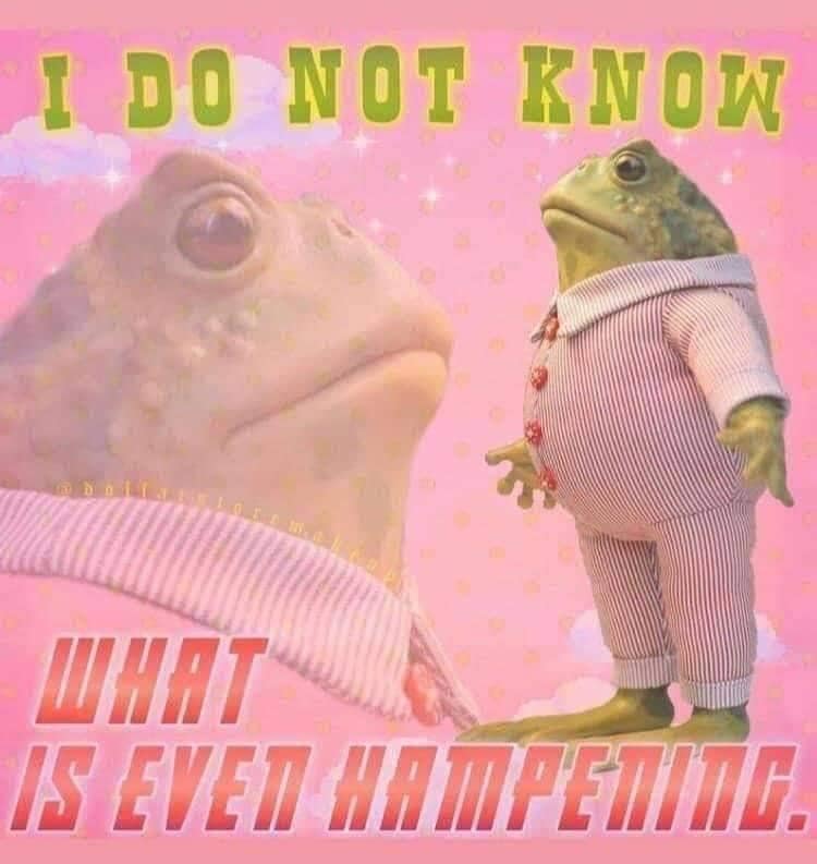 I DO NOT KNOW ШНаТ A AVEN AmPATH