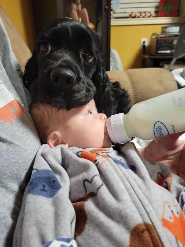 meme dump, funny memes, hilarious memes, dank memes, dank meme dump, meme collection, humor gallery, joke roundup, Monday memes, lazy humor, procrastination jokes, weekend jokes, chill memes, relaxation humor