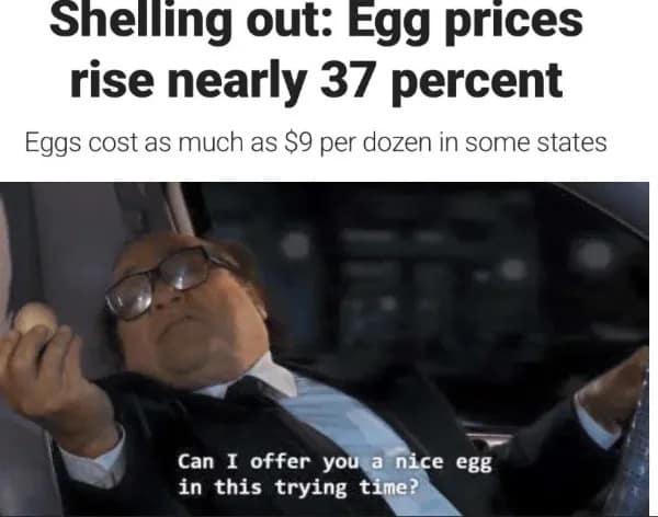 meme dump, funny memes, hilarious memes, dank memes, dank meme dump, meme collection, humor gallery, joke roundup, Monday memes, lazy humor, procrastination jokes, weekend jokes, chill memes, relaxation humor