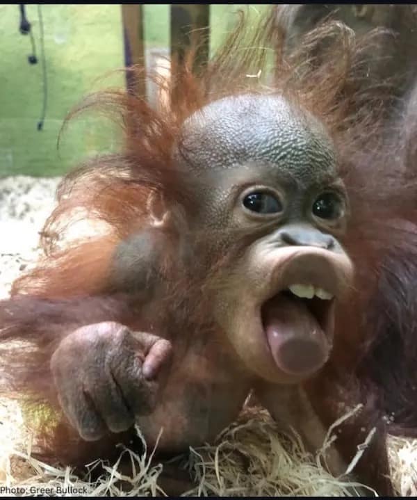 meme dump, funny memes, hilarious memes, dank memes, dank meme dump, meme collection, humor gallery, joke roundup, Monday memes, lazy humor, procrastination jokes, weekend jokes, chill memes, relaxation humor