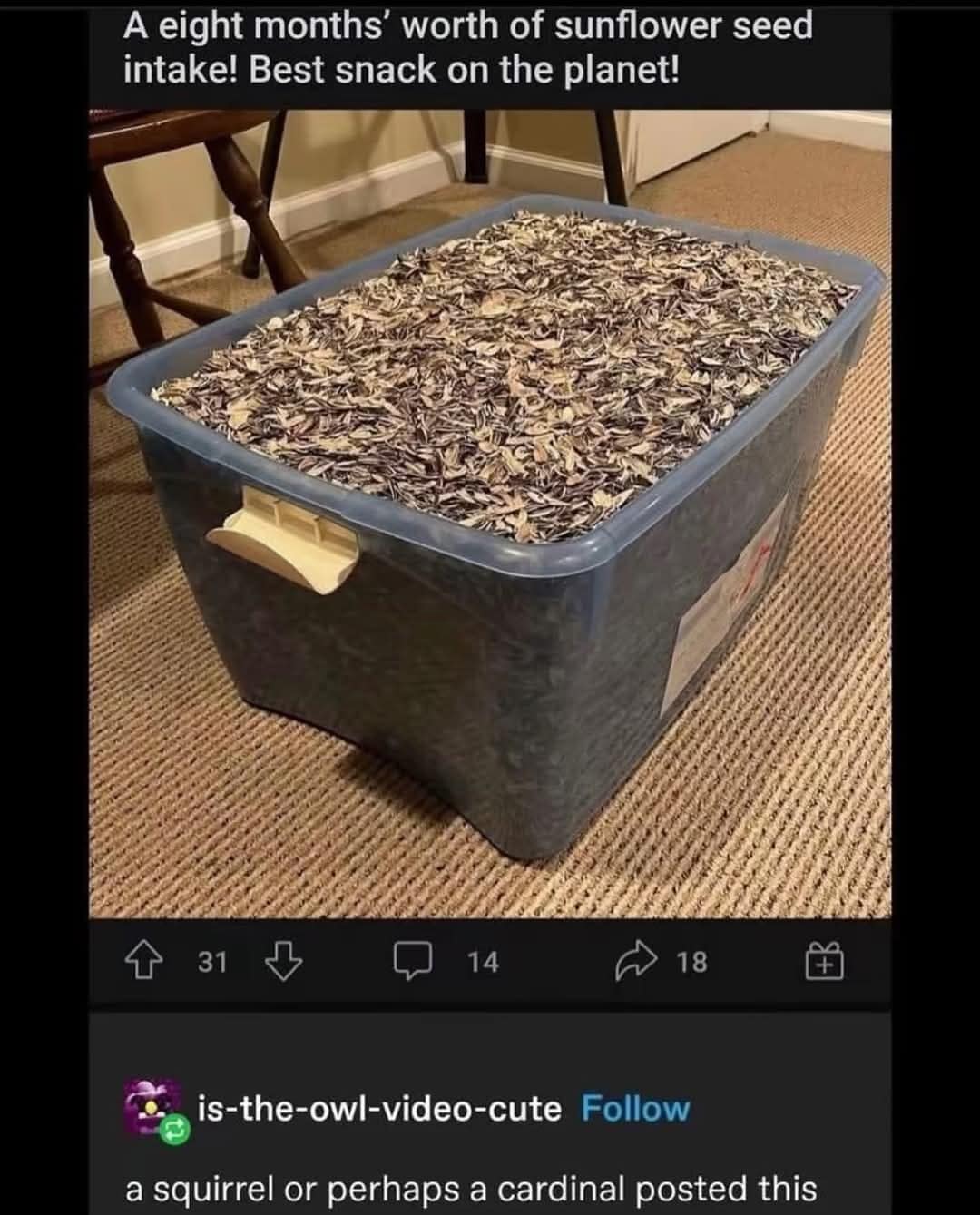 meme dump, funny memes, hilarious memes, dank memes, dank meme dump, meme collection, funny pics, internet humor, lunch break memes, office humor, social media jokes, relatable humor, online comedy