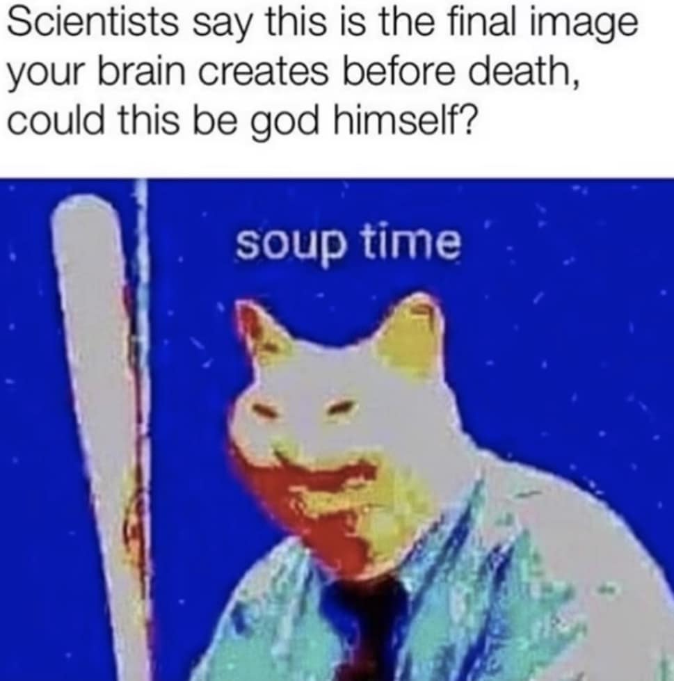 meme dump, hilarious memes, funny memes, dank memes, dank meme dump, meme collection, mass meme drop, endless comedic feed, entertaining pics, humorous visuals, comedic snapshots, uproarious images, side-splitting content, laugh-worthy scenes, viral images, trendy pics, widely shared visuals, buzzworthy content
