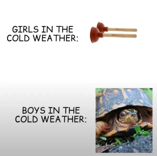 meme dump, hilarious memes, funny memes, dank memes, dank meme dump, meme collection, mass meme drop, endless comedic feed, entertaining pics, humorous visuals, comedic snapshots, uproarious images, side-splitting content, laugh-worthy scenes, viral images, trendy pics, widely shared visuals, buzzworthy content