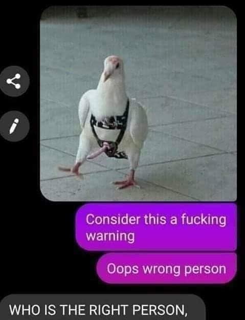 meme dump, funny memes, hilarious memes, dank memes, dank meme dump, meme collection, funny pics, internet humor, lunch break memes, office humor, social media jokes, relatable humor, online comedy