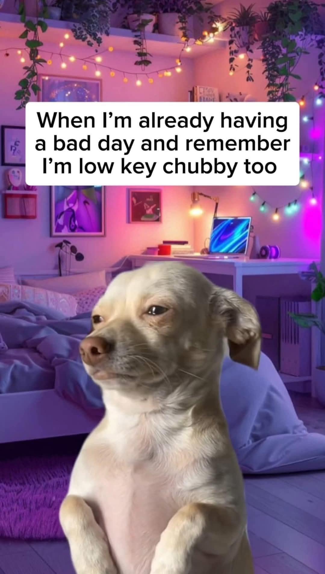 meme dump, funny memes, hilarious memes, dank memes, dank meme dump, collection of memes, meme roundup, mass meme drop, witty pictures, comedic visuals, entertaining content, side-splitting images, laugh-worthy posts, comedic gems, internet memes, online humor, digital jokes, viral content