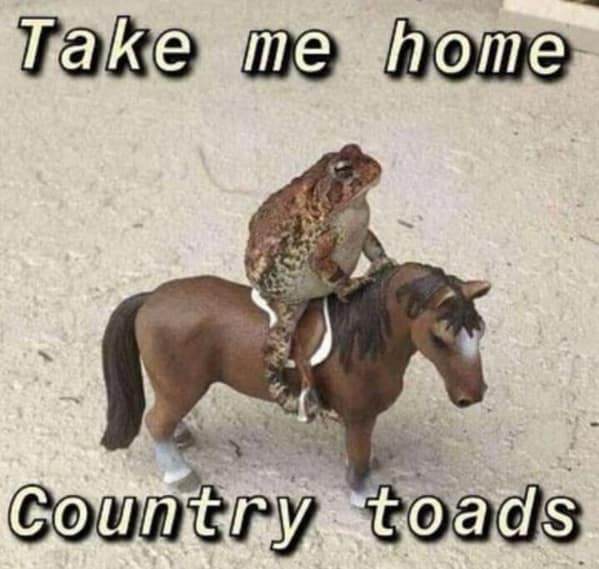 meme dump, funny memes, hilarious memes, dank memes, dank meme dump, meme collection, funny pics, internet humor, lunch break memes, office humor, social media jokes, relatable humor, online comedy