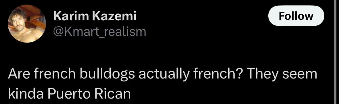Karim Kazemi @Kmart realism Follow Are french bulldogs actually french? They seem kinda Puerto Rican