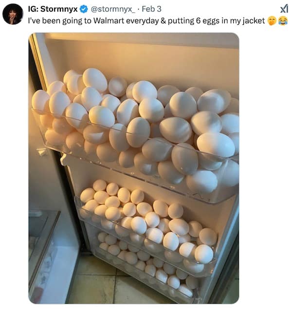 IG: Stormnyx © @stormnyx • Feb 3 XI I've been going to Walmart everyday & putting 6 eggs in my jacket ®
