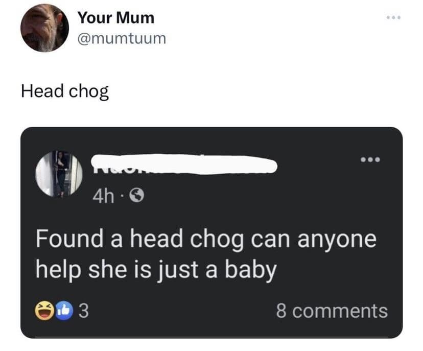 Your Mum @mumtuum Head chog 4h - g Found a head chog can anyone help she is just a baby 61 3 8 comments