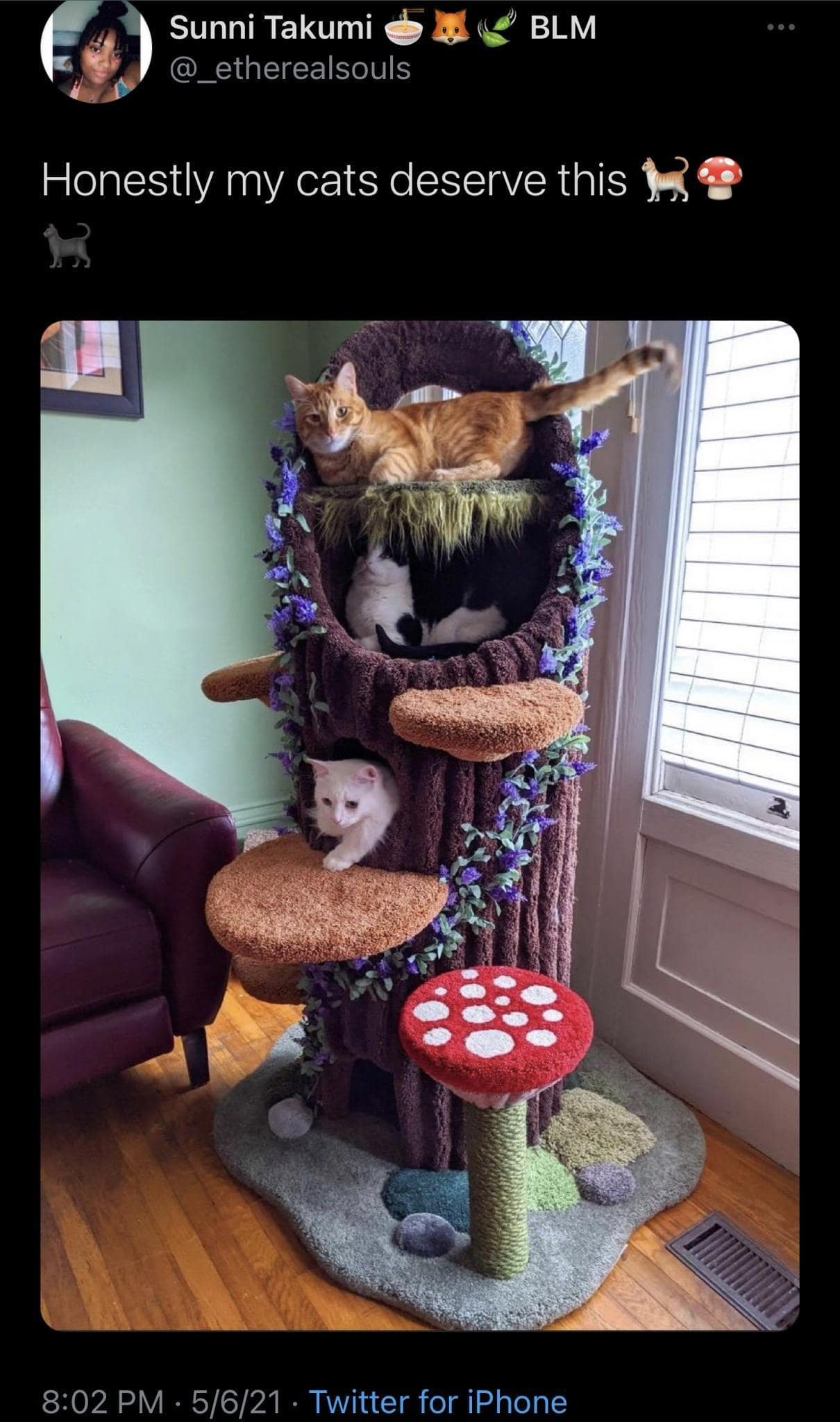 Sunni Takumi O L BLM @_etherealsouls Honestly my cats deserve this Meg 8:02 PM • 5/6/21 • Twitter for iPhone