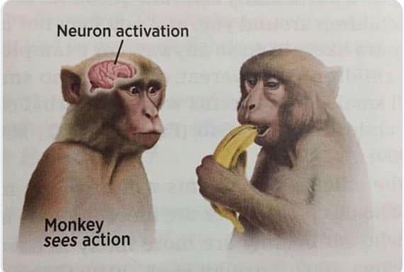 meme origins, meme beginnings, viral meme roots, comedic meme history, viral internet memes, massively shared memes, hugely popular memes, trending online hits, meme culture, digital humor scene, online comedic community, net culture phenomenon