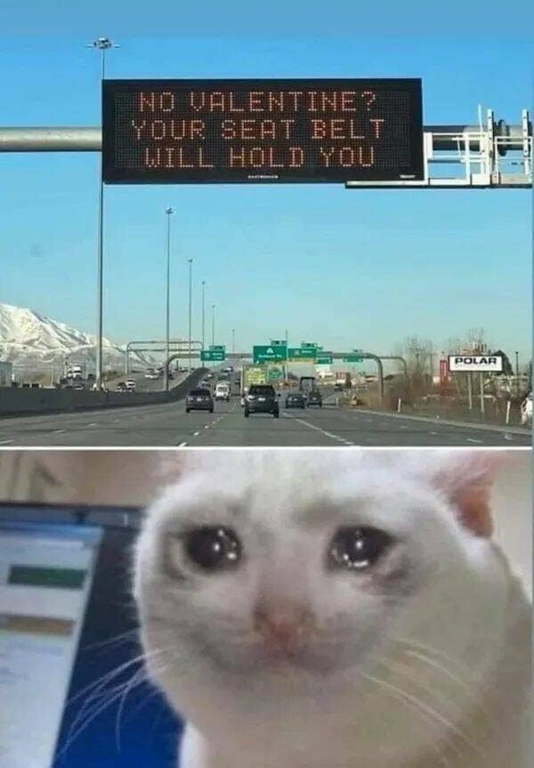 memes about being single, lonely memes, single memes, solo living memes, self-love memes, singlehood struggles, solo life jokes, Valentine memes, single life joys, loneliness memes, introvert memes