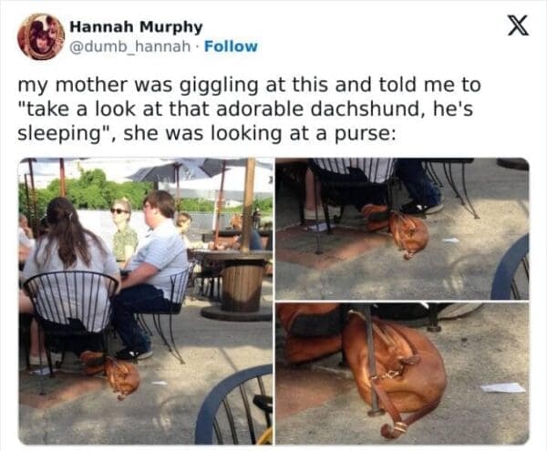30 Most Embarrassing Moments That Will Make You Cringe