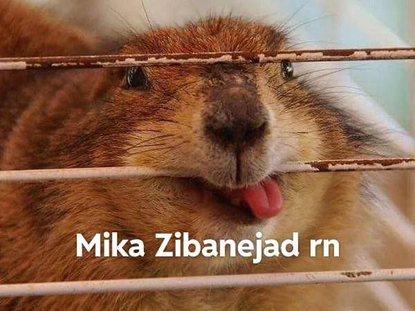 NHL memes, hockey memes, sports memes, hockey humor, NHL trades, hockey drama, sports humor, sports drama, athletic humor