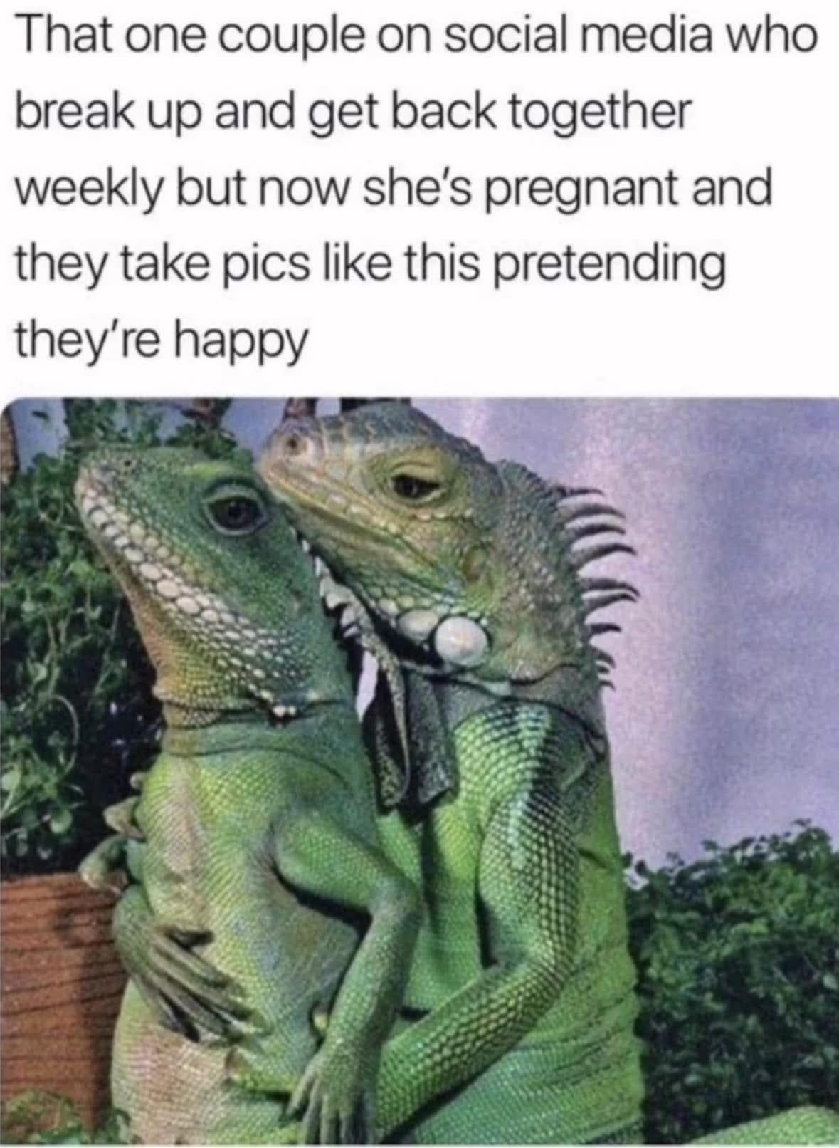 oddly specific memes, niche memes, hyper-focused comedy, niche inside jokes, targeted humor, situational humor, context-based gags, scenario-driven quips, environment-based laughs, micro-audience jokes, subculture comedy, special-interest references, weirdly relatable, oddly universal, surprising parallels, uncanny familiarity