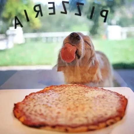 pizza meme, pizza memes, cheesy pizza images, slice humor, pizza memes funny, hilarious pizza references, comedic slices, pepperoni puns, pizza lover meme, pie fandom jokes, mozzarella mania, crust-lovers unite, funny pizza pictures, wacky pizza snapshots, sauce-laden visuals, comedic topping combos