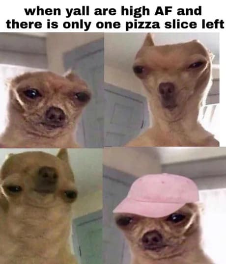 pizza meme, pizza memes, cheesy pizza images, slice humor, pizza memes funny, hilarious pizza references, comedic slices, pepperoni puns, pizza lover meme, pie fandom jokes, mozzarella mania, crust-lovers unite, funny pizza pictures, wacky pizza snapshots, sauce-laden visuals, comedic topping combos
