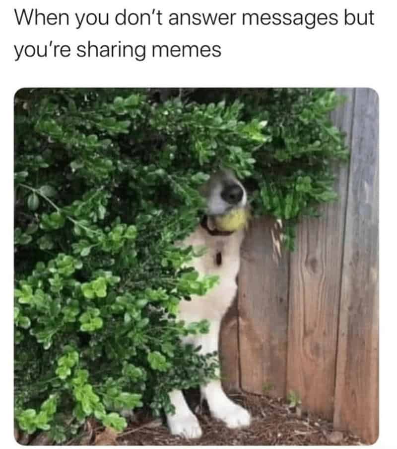 positive thinking memes, positive memes, uplifting memes, adulting humor, positivity jokes, relatable struggles, uplifting comedy, wholesome memes, heartwarming memes, happy memes