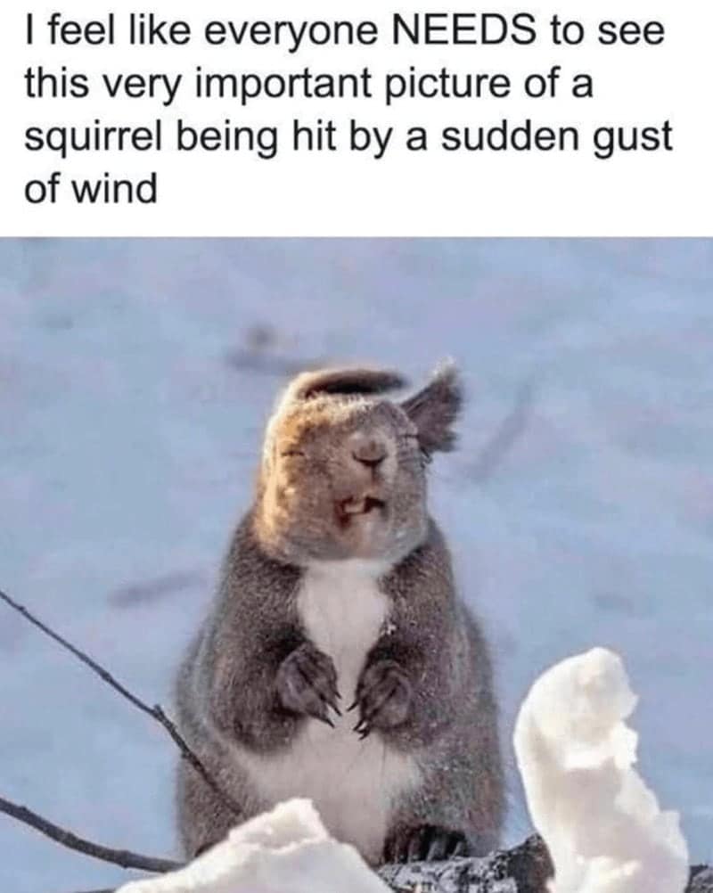 positive thinking memes, positive memes, uplifting memes, adulting humor, positivity jokes, relatable struggles, uplifting comedy, wholesome memes, heartwarming memes, happy memes