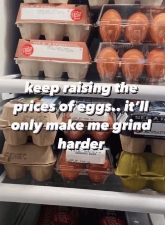 price of eggs memes, expensive egg memes, Egg price inflation, rising egg prices, cost of eggs skyrocketing, egg market crisis, food price memes, grocery inflation memes, expensive food jokes, high cost of living memes, Trump economy memes, inflation under Trump, Trump price hike jokes, Trump affordability memes