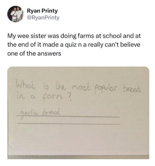 scottish twitter, tweets from scottish people, Scottish humor, Glasgow tweets, Highland wit, scottish tweets, Scottish slang, cultural humor