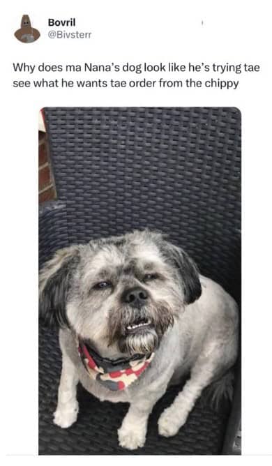 scottish twitter, tweets from scottish people, Scottish humor, Glasgow tweets, Highland wit, scottish tweets, Scottish slang, cultural humor