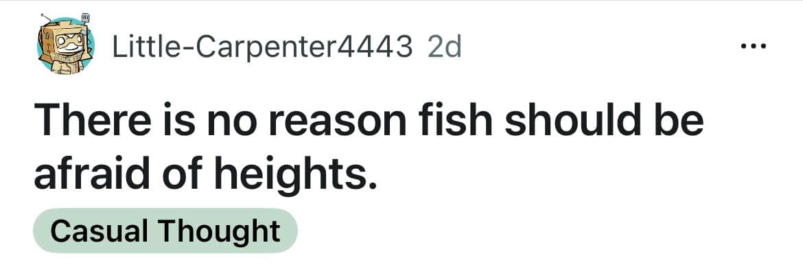 There is no reason fish should be afraid of heights.