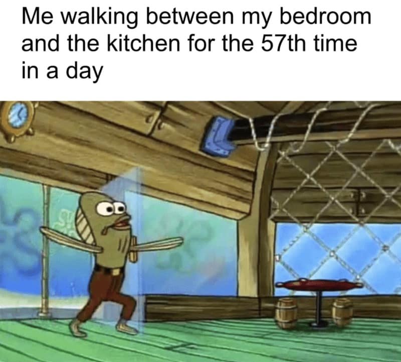 spongebob memes, Bikini Bottom memes, Spongebob humor, Spongebob jokes, patrick memes, squidward memes, plankton memes, Bikini Bottom jokes, cartoon memes