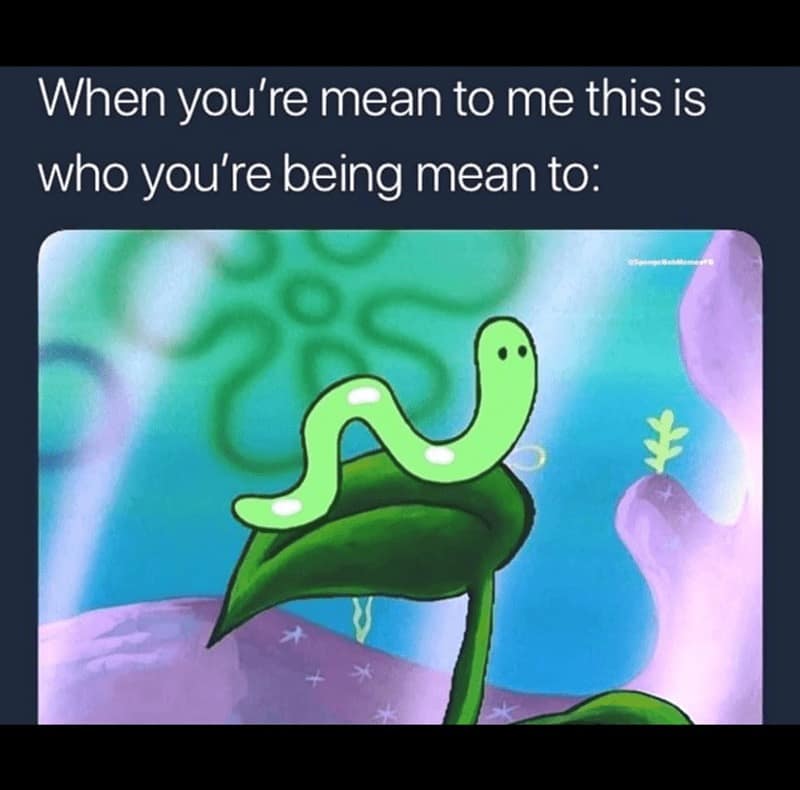 spongebob memes, Bikini Bottom memes, Spongebob humor, Spongebob jokes, patrick memes, squidward memes, plankton memes, Bikini Bottom jokes, cartoon memes