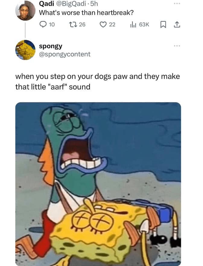 spongebob memes, Bikini Bottom memes, Spongebob humor, Spongebob jokes, patrick memes, squidward memes, plankton memes, Bikini Bottom jokes, cartoon memes