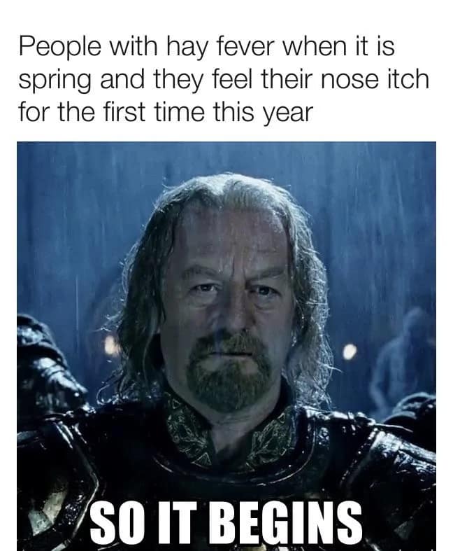spring meme, spring memes, springtime memes, spring jokes, vernal humor, blooming laughs, seasonal memes, annual gags, cyclical chuckles, recurring humor, funny spring, comedic March vibes, whimsical thaw humor, sunny one-liners, spring humor, budding comedy, warming laughs, lighter-season fun