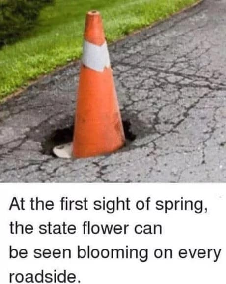 spring meme, spring memes, springtime memes, spring jokes, vernal humor, blooming laughs, seasonal memes, annual gags, cyclical chuckles, recurring humor, funny spring, comedic March vibes, whimsical thaw humor, sunny one-liners, spring humor, budding comedy, warming laughs, lighter-season fun