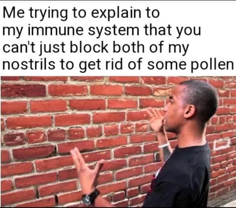 spring meme, spring memes, springtime memes, spring jokes, vernal humor, blooming laughs, seasonal memes, annual gags, cyclical chuckles, recurring humor, funny spring, comedic March vibes, whimsical thaw humor, sunny one-liners, spring humor, budding comedy, warming laughs, lighter-season fun