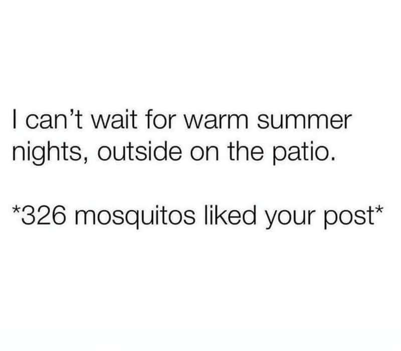 summer memes, sunny memes, beach memes, summer vibes, summer humor, summer jokes, sunny vibes, beach humor