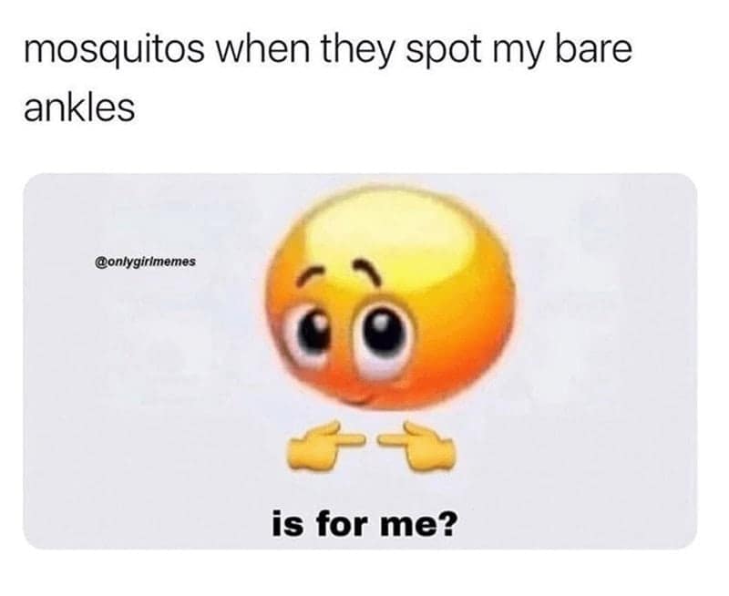 summer memes, sunny memes, beach memes, summer vibes, summer humor, summer jokes, sunny vibes, beach humor