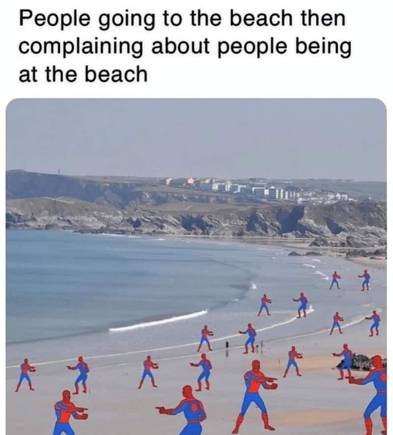 summer memes, sunny memes, beach memes, summer vibes, summer humor, summer jokes, sunny vibes, beach humor