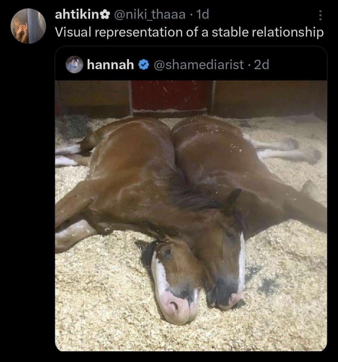 technically correct meme, technically correct meme, accurate memes, literal memes, pedantic humor, absurd humor, perfectionist memes, logical jokes, precise memes, exact humor, nitpicking jokes