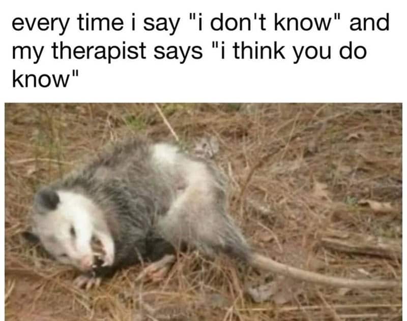 therapy memes, anxiety memes, counseling humor, therapy humor, anxious jokes, nervous humor, tension laughs, therapy cartoons, comedic therapy images, silly therapy references, comedic psychoanalysis, mental health humor, mind wellness jokes, self-help wisecracks, coping strategy laughs