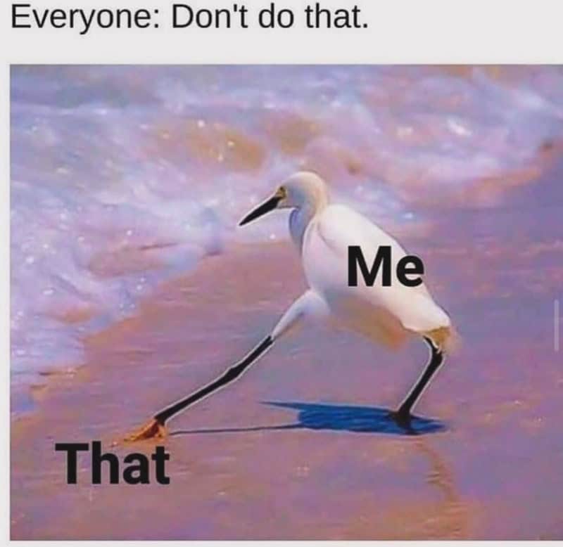 therapy memes, anxiety memes, counseling humor, therapy humor, anxious jokes, nervous humor, tension laughs, therapy cartoons, comedic therapy images, silly therapy references, comedic psychoanalysis, mental health humor, mind wellness jokes, self-help wisecracks, coping strategy laughs