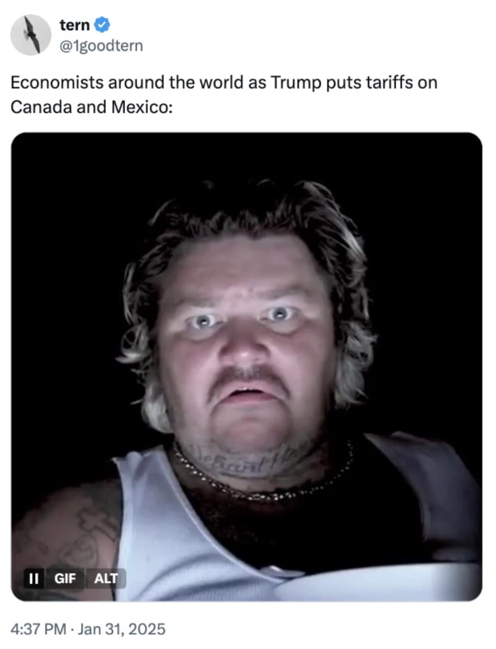 Trump tariffs memes, tariff memes, tariff comedic references, trade policy gags, duty-based jokes, trade war jokes, global fee humor, cross-border comedic tension, political memes, governance comedic angles, legislative wisecracks, tariff humor, surcharge comedic bits, commerce-based snark